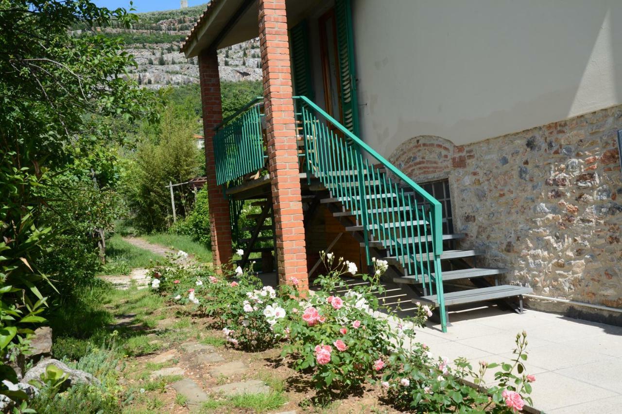 Casa1 *